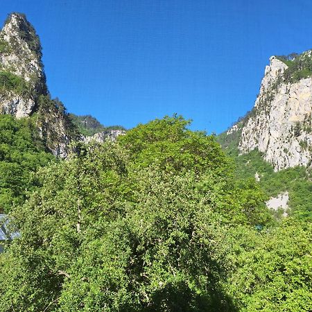 Vila Montana Dobrilovina 外观 照片