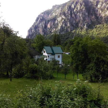 Vila Montana Dobrilovina 外观 照片