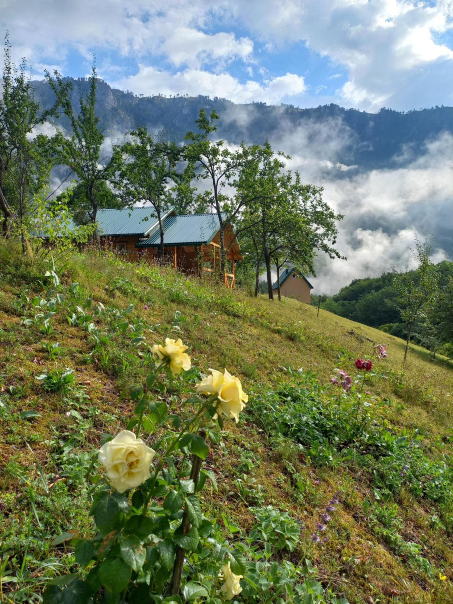 Vila Montana Dobrilovina 外观 照片