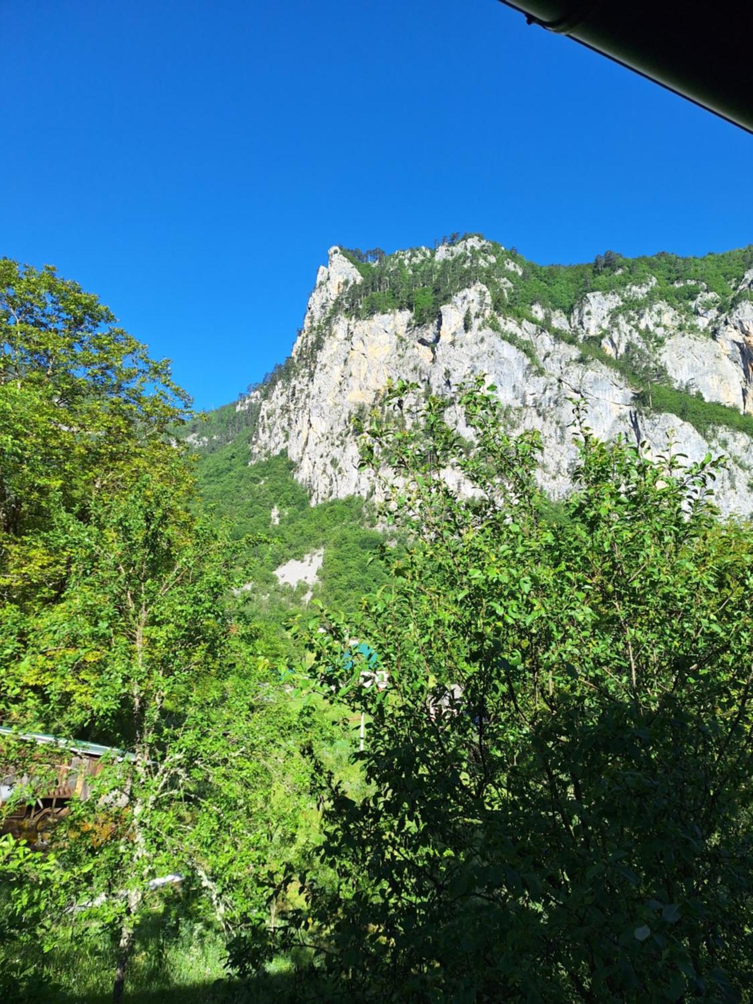 Vila Montana Dobrilovina 外观 照片