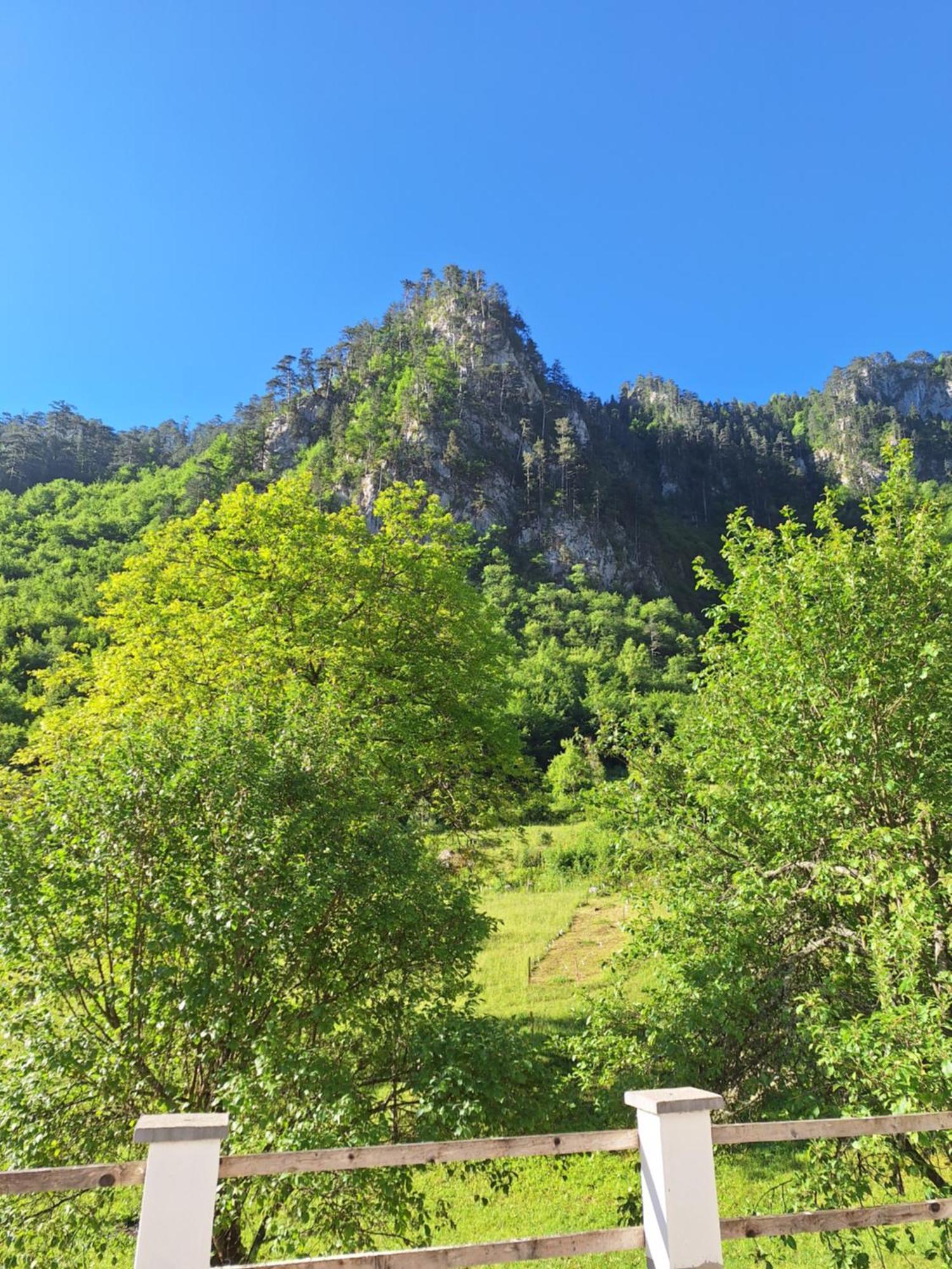 Vila Montana Dobrilovina 外观 照片