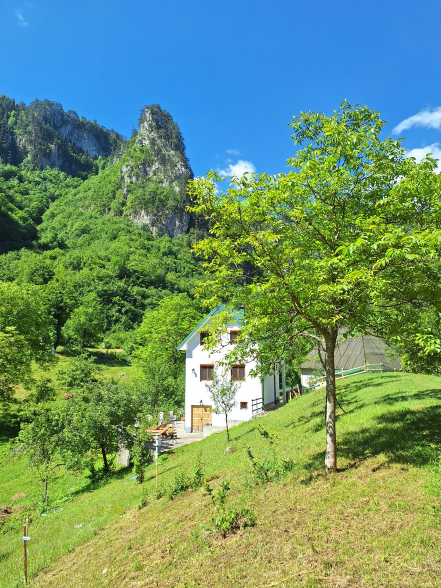 Vila Montana Dobrilovina 外观 照片