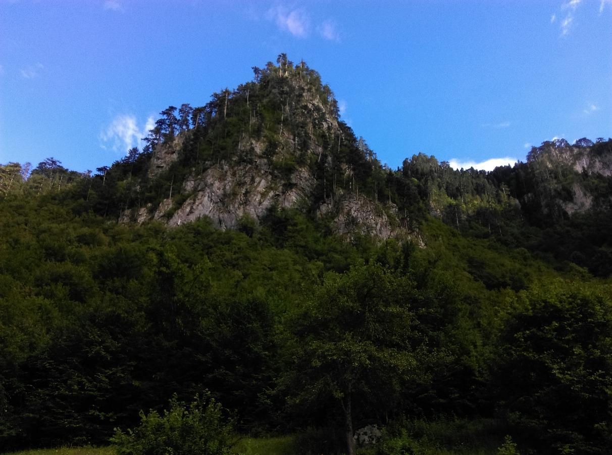Vila Montana Dobrilovina 外观 照片